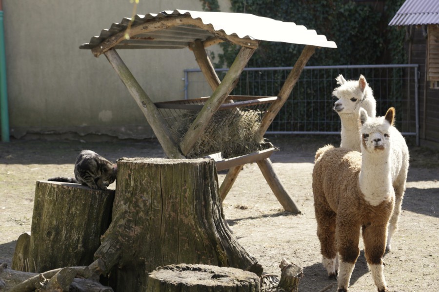 Familienunternehmen Ruden – Bild 5