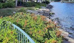 Centennial Park – Bild 4