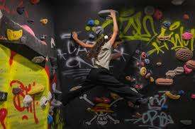 Pierre - Centre d'escalade – Bild 3