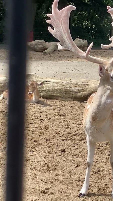 Abgesperrter Ehemaliger Braunkohlentagebau bzw. ehemalige Deponie Maria-Theresia westlich Herzogenrath – Bild 4