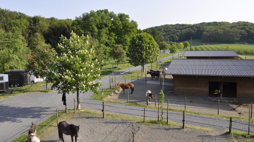 Burgzwerge - Ein Hof zum Anfassen – Bild 3