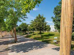 Erlenmattpark – Bild 4