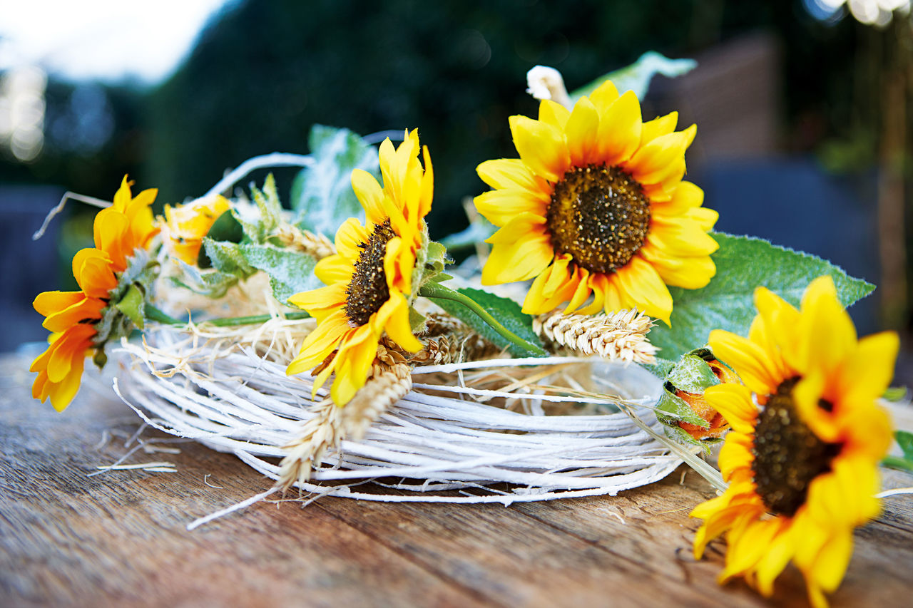 Gaststätte Schurwaldhöhe – Bild 6