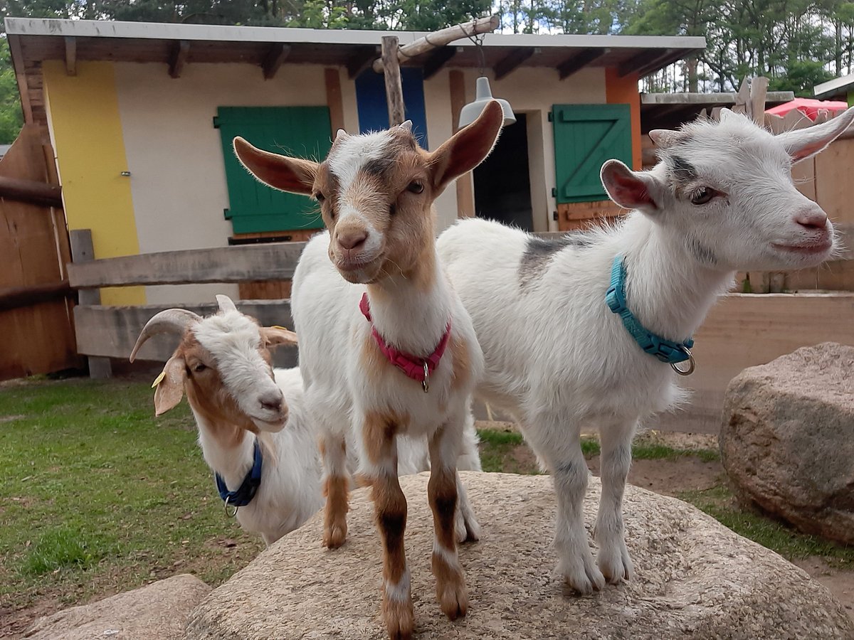 Freizeitpark – Bild 5