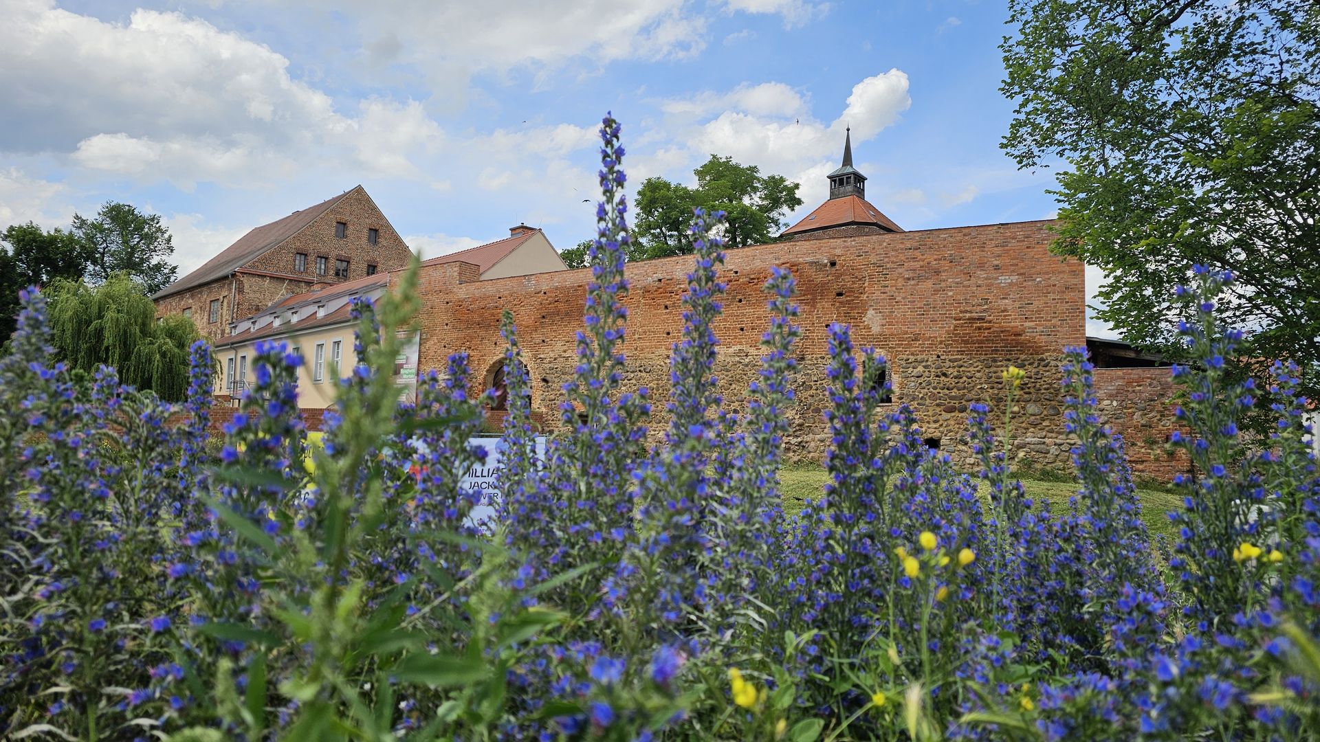 Burg Beeskow – Bild 5