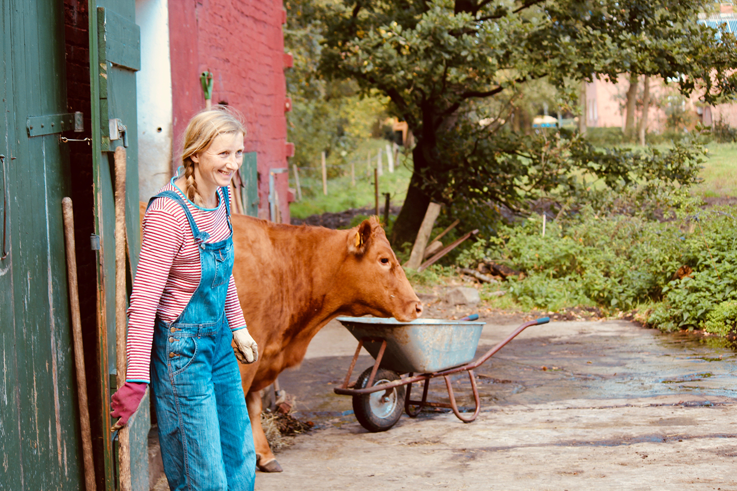 Bartlinghof – Bild 6