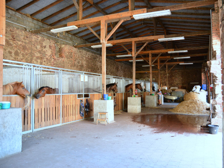 Ferienwohnung Gut Fischer – Bild 3