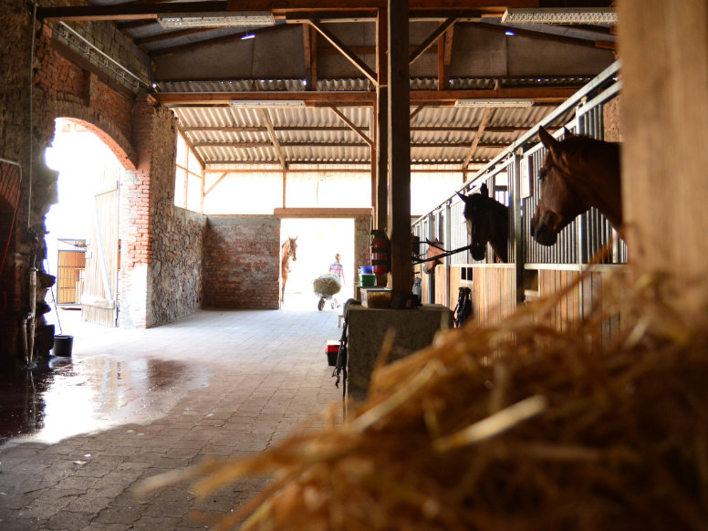 Ferienwohnung Gut Fischer – Bild 6