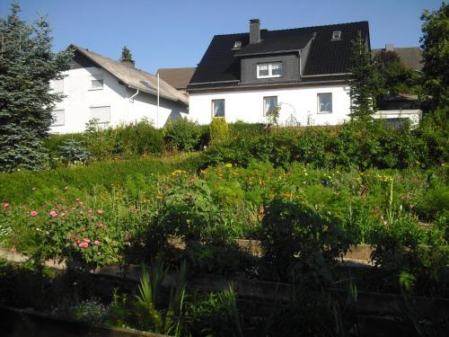 Willekes Blütenhof – Bild 4