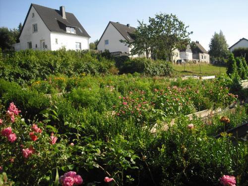 Willekes Blütenhof – Bild 5