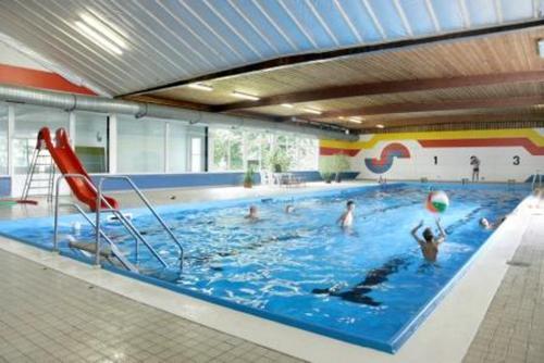 Willekes Blütenhof – Bild 6