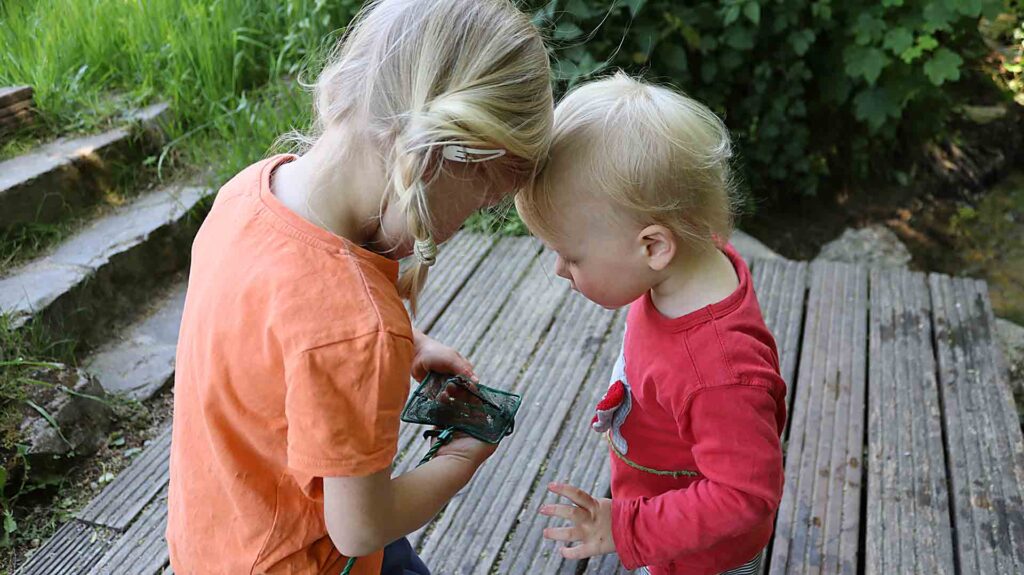 NaturGut Ophoven (Kurse in der Natur) – Bild 3