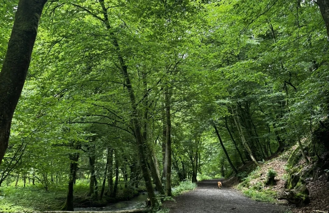 NaturGut Ophoven (Kurse in der Natur) – Bild 5