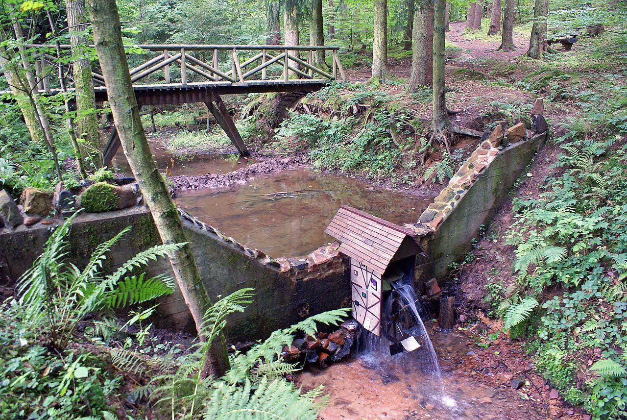 Märchenwald Obrunnschlucht – Bild 4