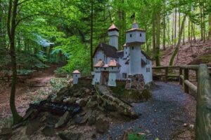 Märchenwald Obrunnschlucht – Bild 5