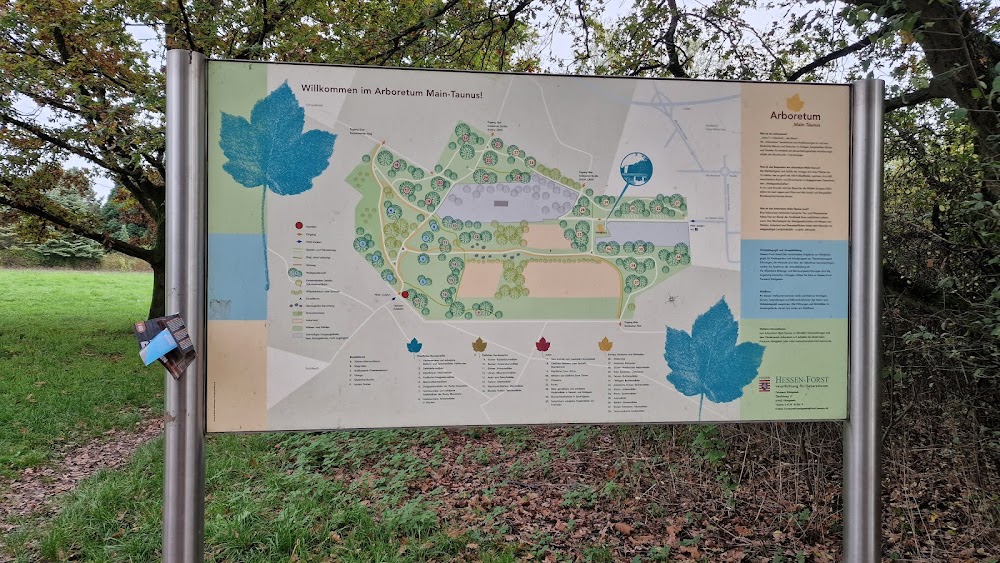 Arboretum Main-Taunus – Bild 2