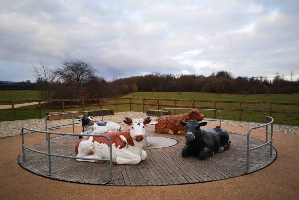 Arboretum Main-Taunus – Bild 4