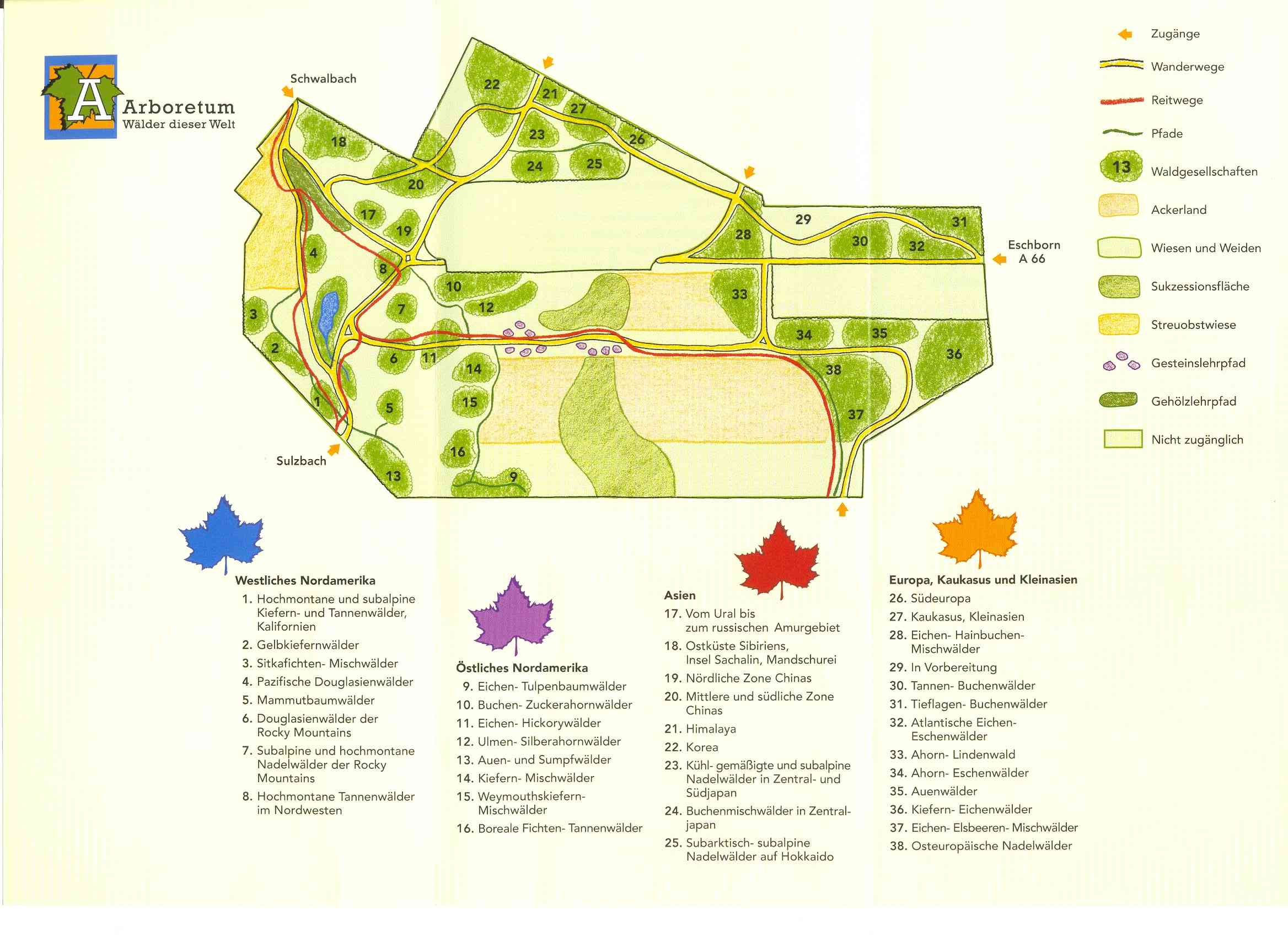 Arboretum Main-Taunus – Bild 5
