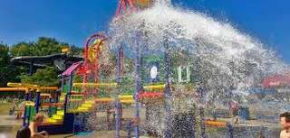 Maple Park Treehouse – Bild 2