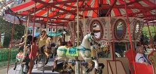 Maple Park Treehouse – Bild 3