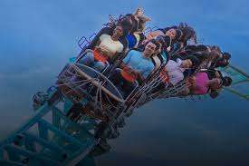 Maple Park Treehouse – Bild 5