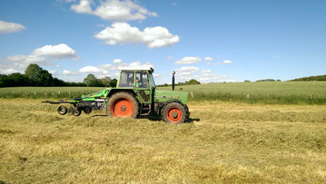 Hof Wilde Wiesen Familie Sellmer – Bild 4