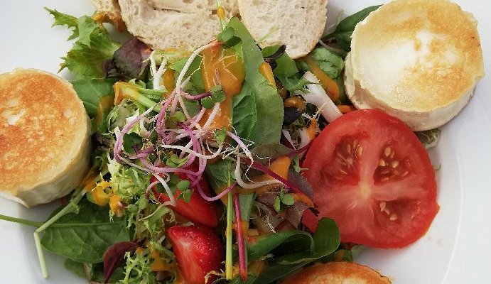 Steakhaus Radebeul – Bild 6