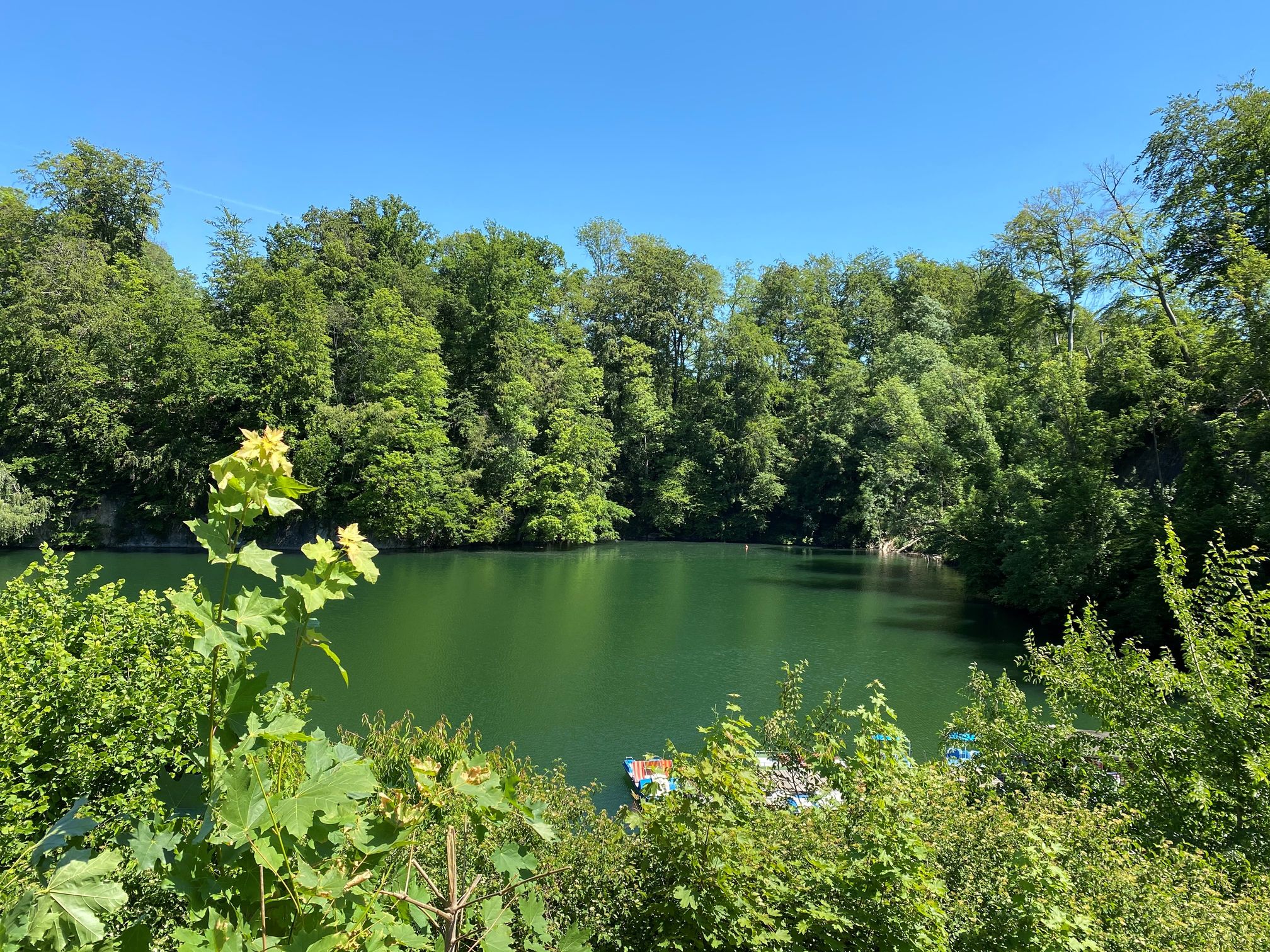Woodland Blauer See – Bild 3