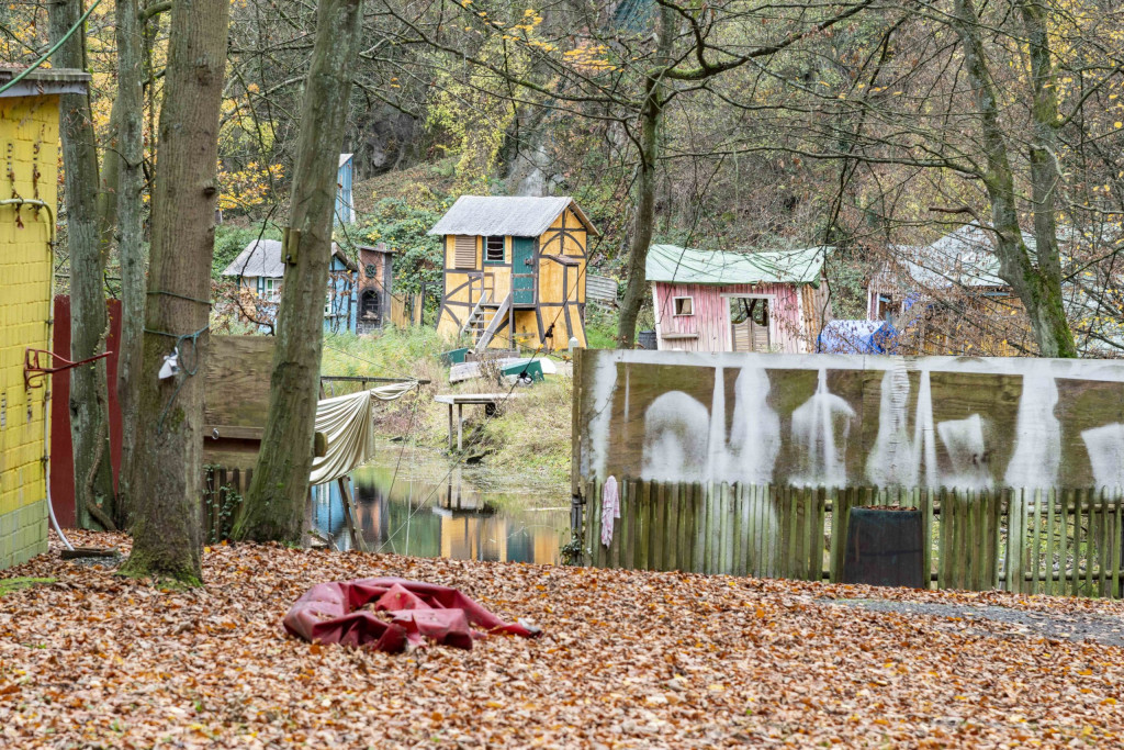 Woodland Blauer See – Bild 6