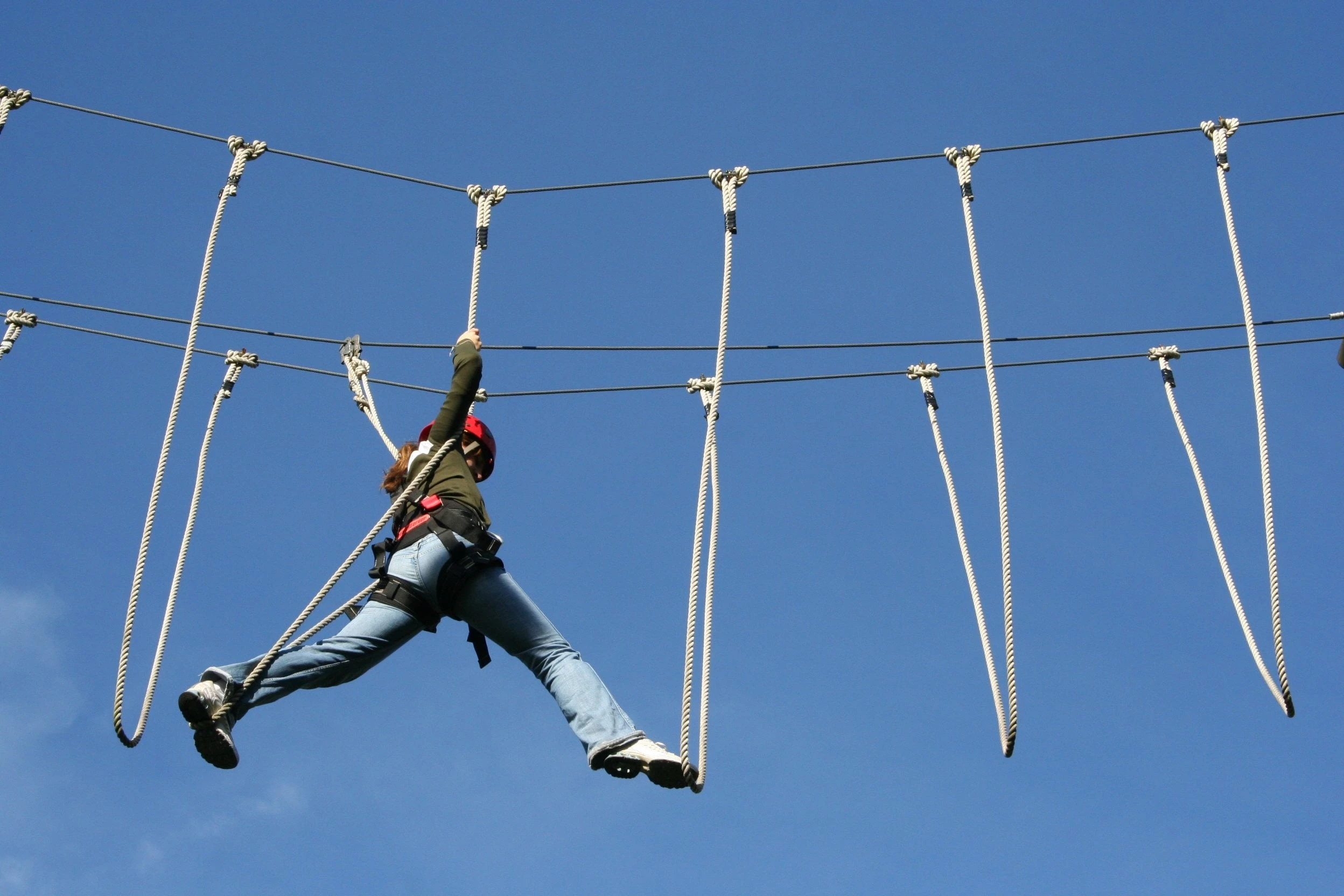 Hochseilgarten TaunaTours – Bild 4