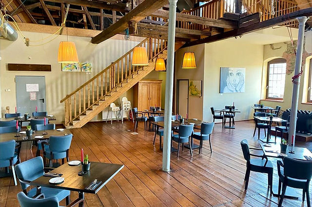 Hochseilgarten TaunaTours – Bild 6