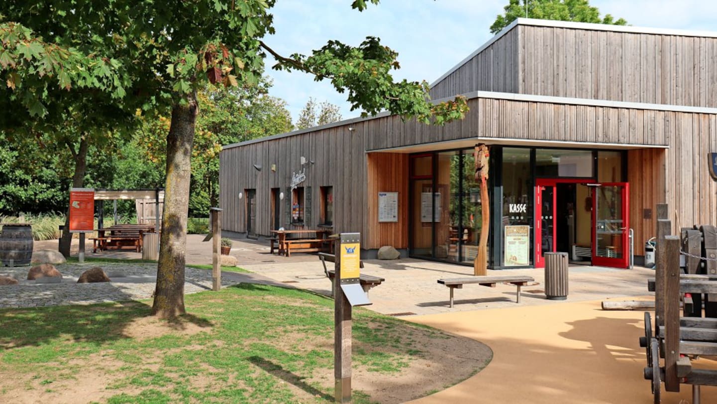 Drei Möwen Halle – Bild 3