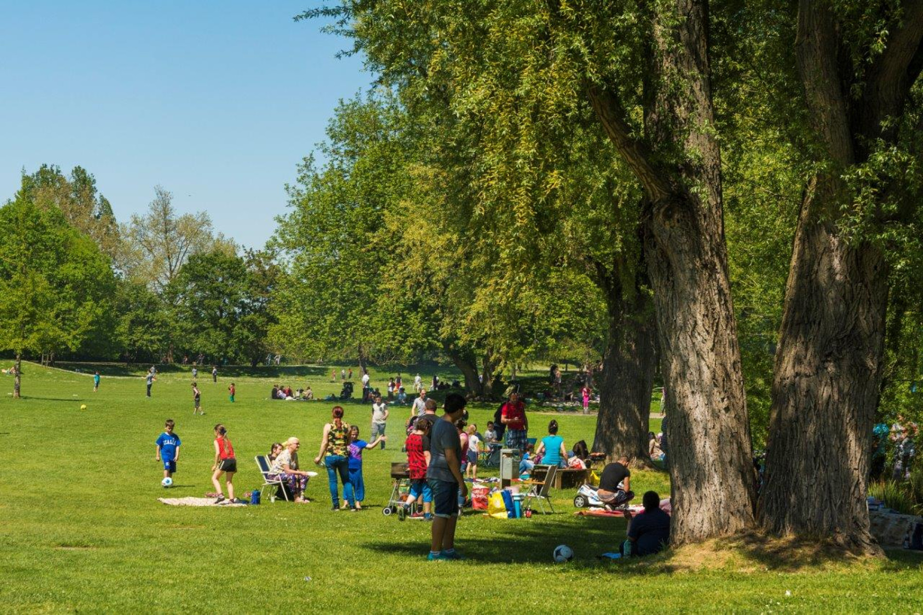 Minigolf im Wertwiesenpark – Bild 2