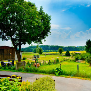 Hof Hainholzblick – Bild 2