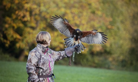 skyhunters-frechen – Bild 3