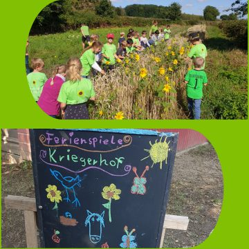 Kriegerhof – Bild 3