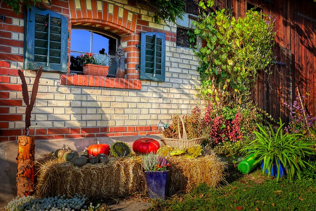 Bauernhof Kief – Bild 3