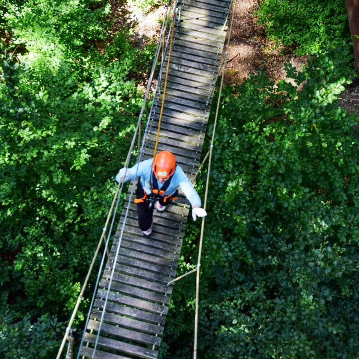 Kletterwald Spessart – Bild 2
