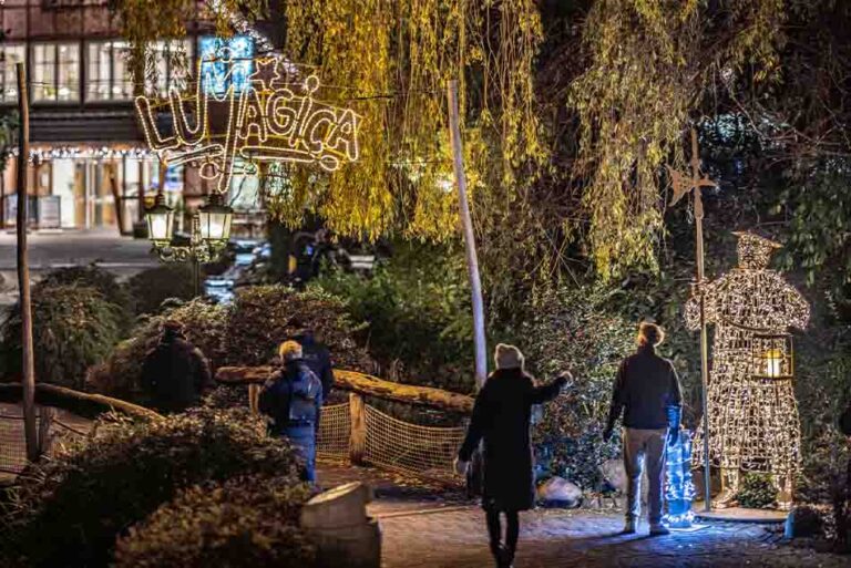 Streichelgehege – Bild 5