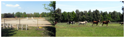 Ferien & Reiterhof Siefert GbR – Bild 3