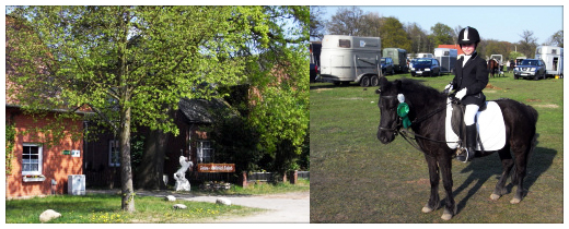 Ferien & Reiterhof Siefert GbR – Bild 5