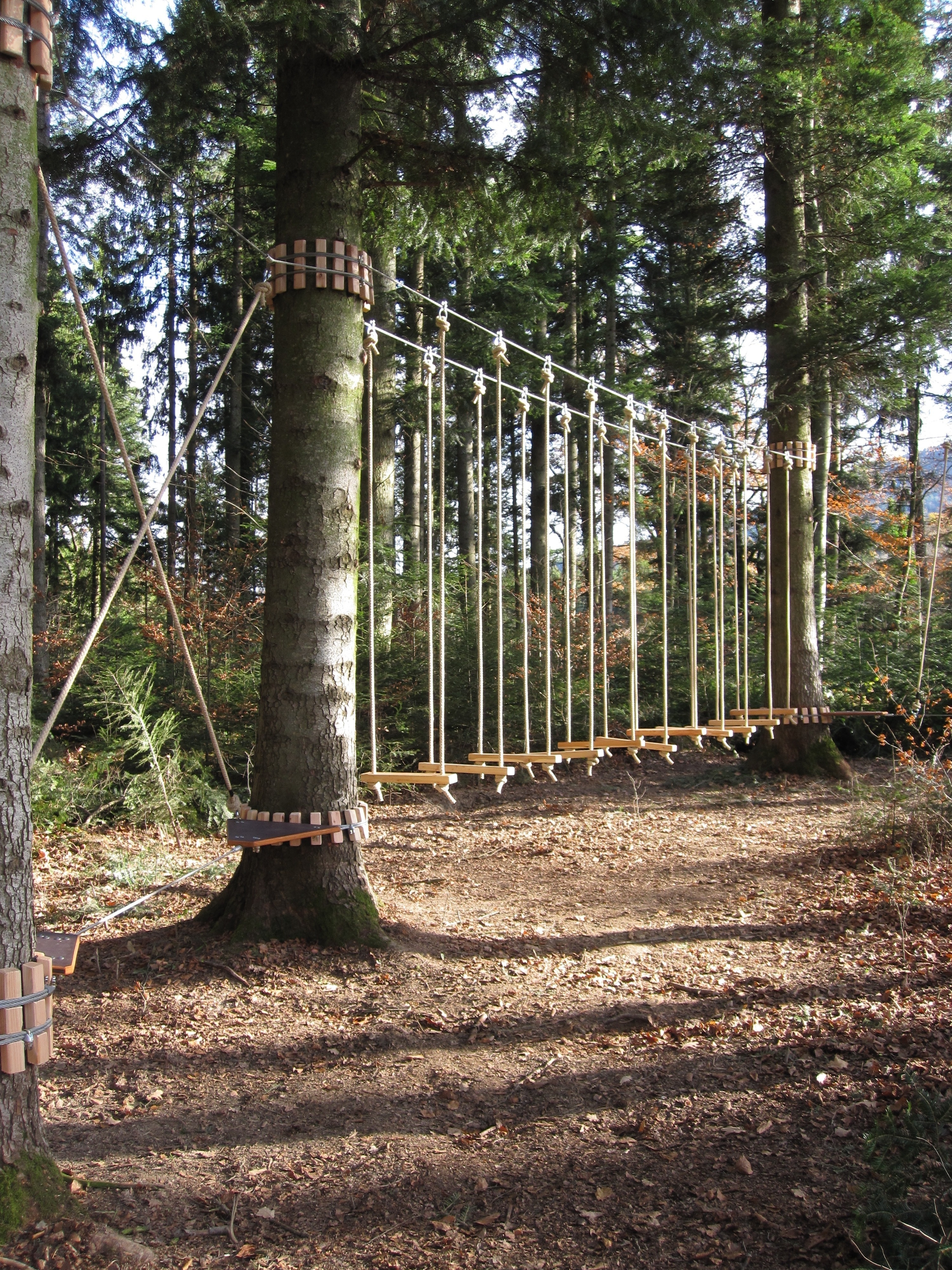 Niederseilgarten „Auf der Steige“ – Bild 3
