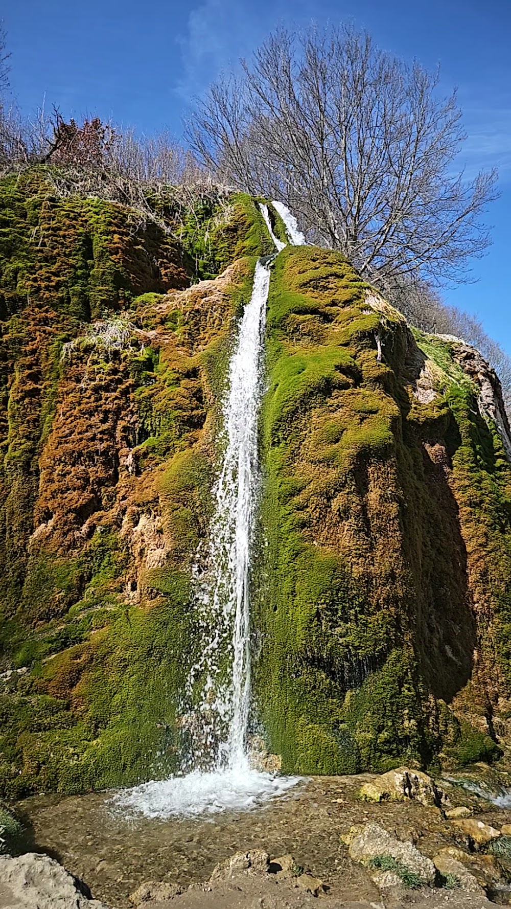 Wasserfall / 'Sparkassen-Wäldchen' über dem Edeltrud-Tunnel – Bild 1