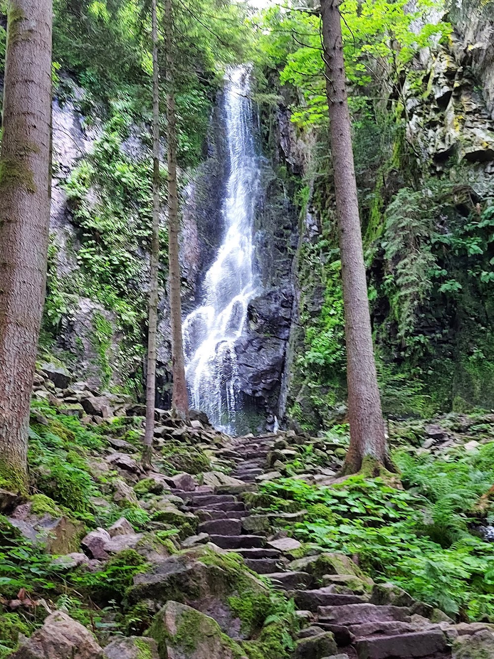 Wasserfall / 'Sparkassen-Wäldchen' über dem Edeltrud-Tunnel – Bild 3