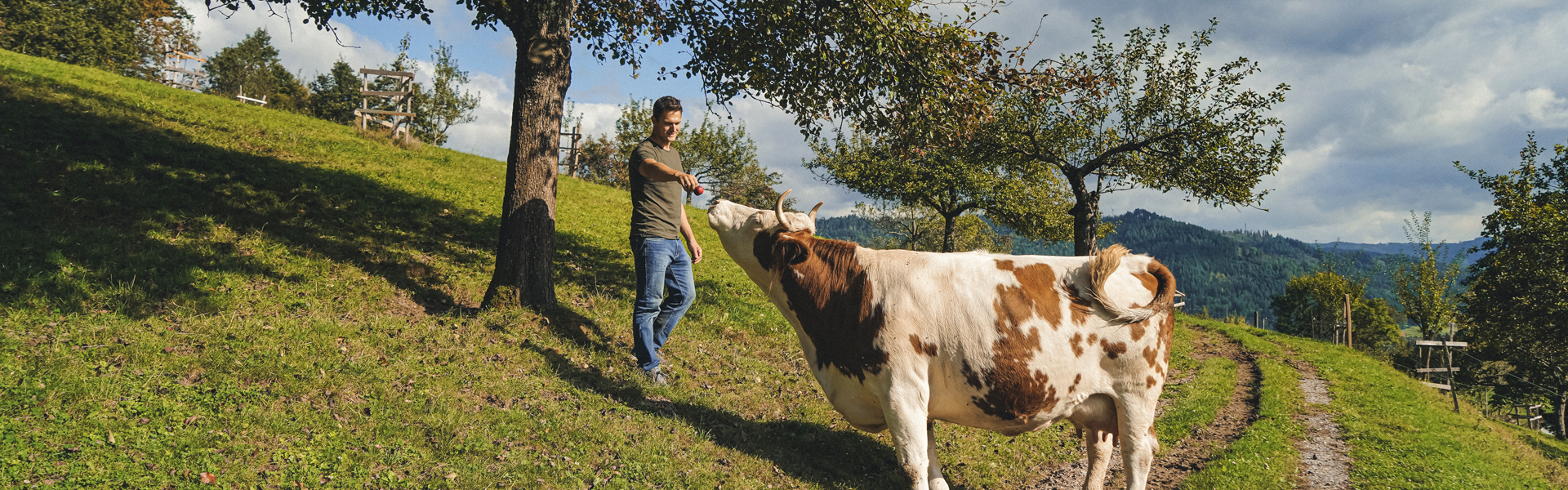 Huberhof Gengenbach - Fußbach – Bild 2