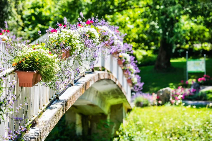 SOPHI PARK Bad Liebenzell – Bild 6