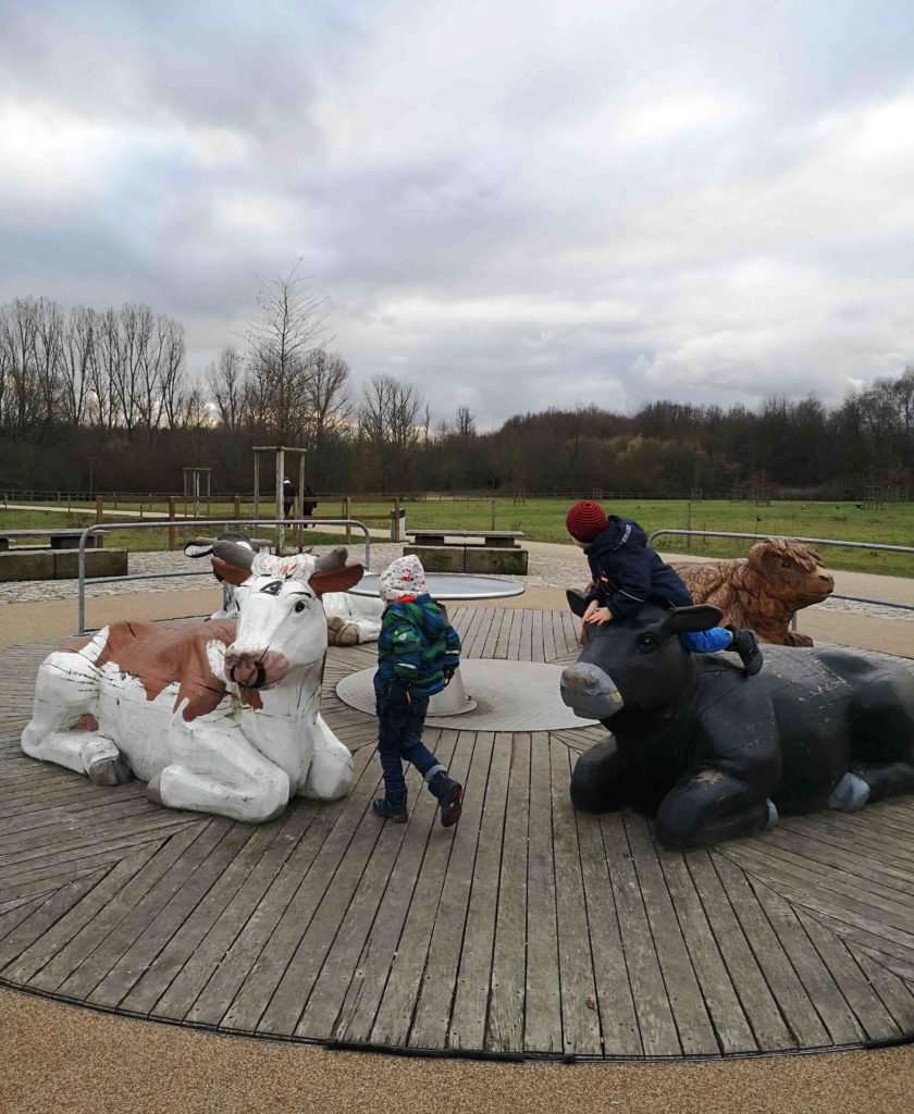 Rinder-Karussell – Bild 1