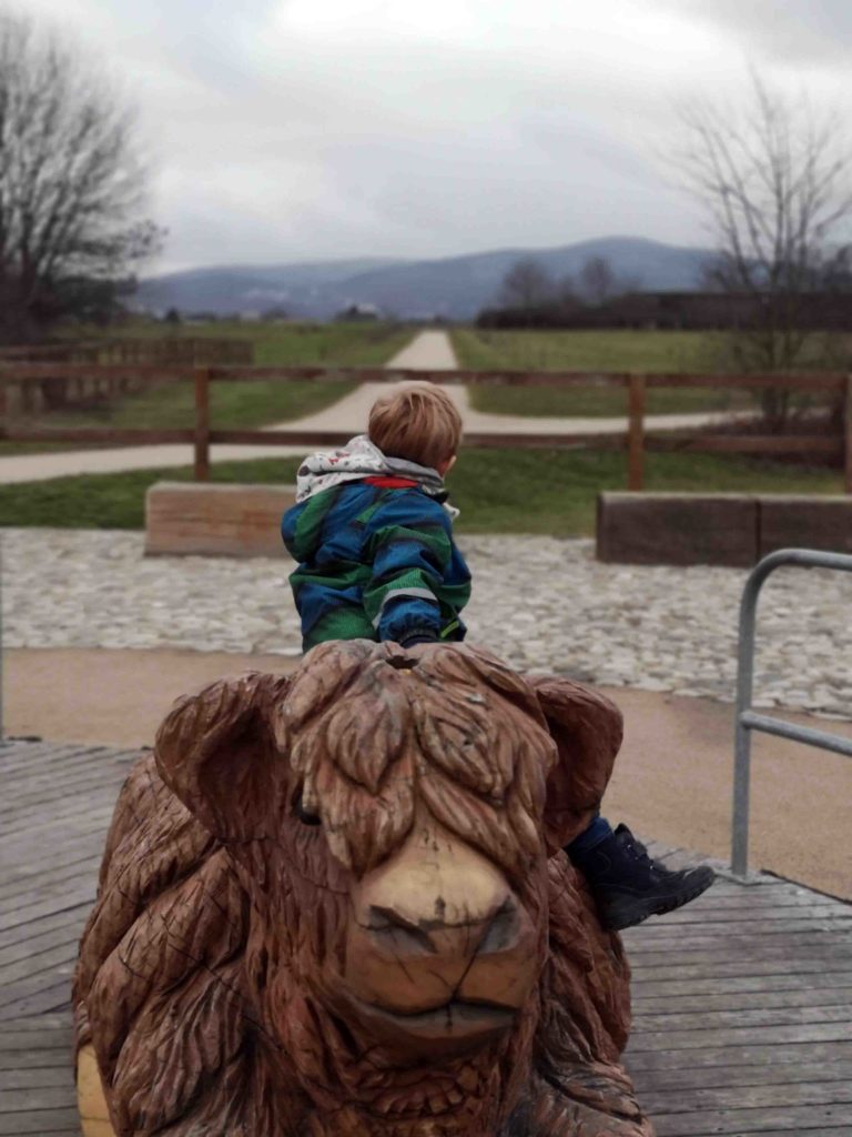 Rinder-Karussell – Bild 3