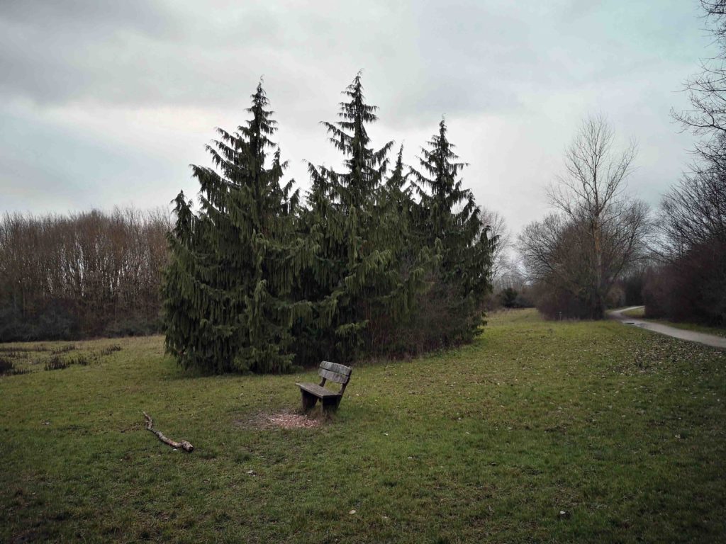 Rinder-Karussell – Bild 6