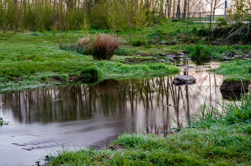 Wasserstelle Zum Glessener Bach – Bild 2